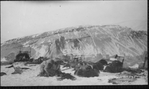 Image of Camp site, tent,sledges, dogs, man